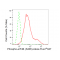 LifeSab™ KD-Validated Phospho-eIF4B (S406) Rabbit mAb (20 μl)