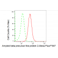 LifeSab™ KD-Validated APLP2 Rabbit mAb (20 μl)