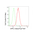 LifeSab™ KD-Validated APPL1 Rabbit mAb (20 μl)