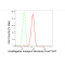 LifeSab™ KD-Validated IFT88 Rabbit mAb (20 μl)