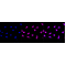 LifeSab™ KD-Validated IFT88 Rabbit mAb (20 μl)