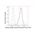 LifeSab™ KD-Validated KIF5B Rabbit mAb (20 μl)