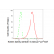 LifeSab™ KD-Validated KIF5B Rabbit mAb (20 μl)