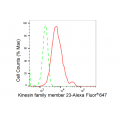 LifeSab™ KD-Validated KIF23 Rabbit mAb (20 μl)