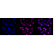 LifeSab™ KD-Validated KIF23 Rabbit mAb (20 μl)