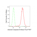 LifeSab™ KD-Validated cleaved Caspase-9 Rabbit mAb (20 μl)