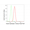 LifeSab™ KD-Validated NUDT1 Rabbit mAb (20 μl)