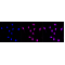 LifeSab™ KD-Validated NUDT1 Rabbit mAb (20 μl)