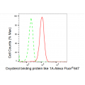 LifeSab™ KD-Validated OSBPL1A Rabbit mAb (20 μl)