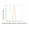 LifeSab™ KD-Validated OSBPL1A Rabbit mAb (20 μl)