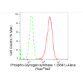 LifeSab™ KD-Validated Phospho-GYS1 (S641) Rabbit mAb (20 μl)