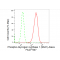 LifeSab™ KD-Validated Phospho-GYS1 (S641) Rabbit mAb (20 μl)