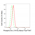 LifeSab™ KD-Validated Phospho-Src (Y419) Rabbit mAb (20 μl)