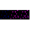 LifeSab™ KD-Validated Phospho-PKCA (T638) Rabbit mAb (20 μl)