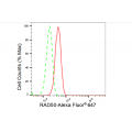 LifeSab™ KD-Validated RAD50 Rabbit mAb (20 μl)