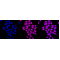 LifeSab™ KD-Validated RANBP9 Rabbit mAb (20 μl)