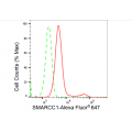 LifeSab™ KD-Validated SMARCC1 Rabbit mAb (20 μl)