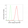 LifeSab™ KD-Validated STAT1 Rabbit mAb (20 μl)