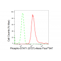 LifeSab™ KD-Validated Phospho-STAT1 (S727) Rabbit mAb (20 μl)