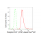 LifeSab™ KD-Validated Phospho-STAT1 (S727) Rabbit mAb (20 μl)