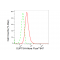 LifeSab™ KD-Validated SUPT5H Rabbit mAb (20 μl)