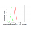 LifeSab™ KD-Validated TRIM24 Rabbit mAb (20 μl)