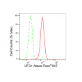 LifeSab™ KD-Validated UFC1 Rabbit mAb (20 μl)