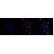 LifeSab™ KD-Validated UFC1 Rabbit mAb (20 μl)