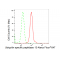 LifeSab™ KD-Validated USP13 Rabbit mAb (20 μl)