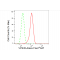 LifeSab™ KD-Validated VPS35 Rabbit mAb (20 μl)