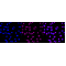 LifeSab™ KD-Validated VPS35 Rabbit mAb (20 μl)