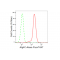 LifeSab™ KD-Validated Atg4C Rabbit mAb (20 μl)