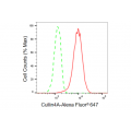 LifeSab™ KD-Validated Cullin4A Rabbit mAb (20 μl)