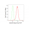 LifeSab™ KD-Validated Cullin4A Rabbit mAb (20 μl)