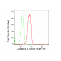 LifeSab™ KD-Validated CASP2 Rabbit mAb (20 μl)