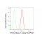 LifeSab™ KD-Validated CTPS1 Rabbit mAb (20 μl)