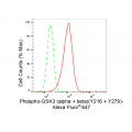 LifeSab™ KD-Validated Phospho-GSK3A (Y216 + Y279) Rabbit mAb (20 μl)