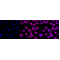 LifeSab™ KD-Validated Phospho-GSK3A (Y216 + Y279) Rabbit mAb (20 μl)