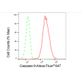 LifeSab™ KD-Validated CASP9 Rabbit mAb (20 μl)