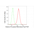 LifeSab™ KD-Validated Histone H3 (acetyl K56) Rabbit mAb (20 μl)