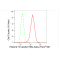 LifeSab™ KD-Validated Histone H3 (acetyl K56) Rabbit mAb (20 μl)