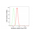 LifeSab™ KD-Validated Nicastrin Rabbit mAb (20 μl)