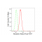 LifeSab™ KD-Validated Nicastrin Rabbit mAb (20 μl)