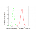 LifeSab™ KD-Validated Histone H3 (acetyl K18) Rabbit mAb (20 μl)