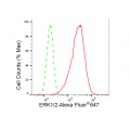 LifeSab™ KD-Validated ERK1/2 Rabbit mAb (20 μl)