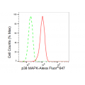 LifeSab™ KD-Validated p38 MAPK Rabbit mAb (20 μl)