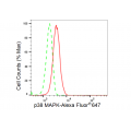 LifeSab™ KD-Validated p38 MAPK Rabbit mAb (20 μl)