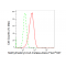 LifeSab™ KD-Validated MMUT Rabbit mAb (20 μl)