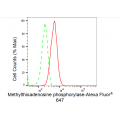 LifeSab™ KD-Validated MTAP Rabbit mAb (20 μl)