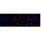 LifeSab™ KD-Validated NDEL1 Rabbit mAb (20 μl)